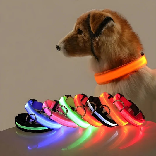 GlowGuard Collar